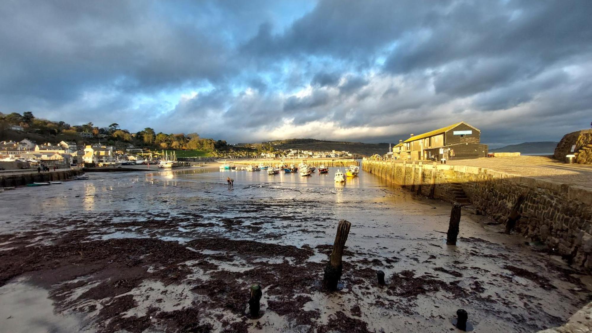 Charnwood Guest House Lyme Regis Exterior foto